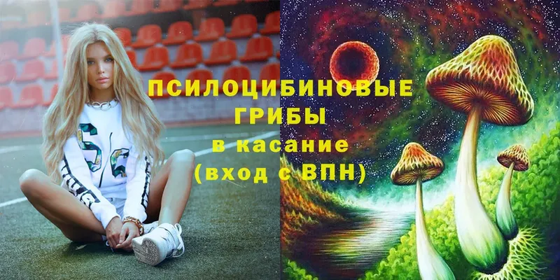 Галлюциногенные грибы Cubensis  как найти наркотики  Бирюсинск 